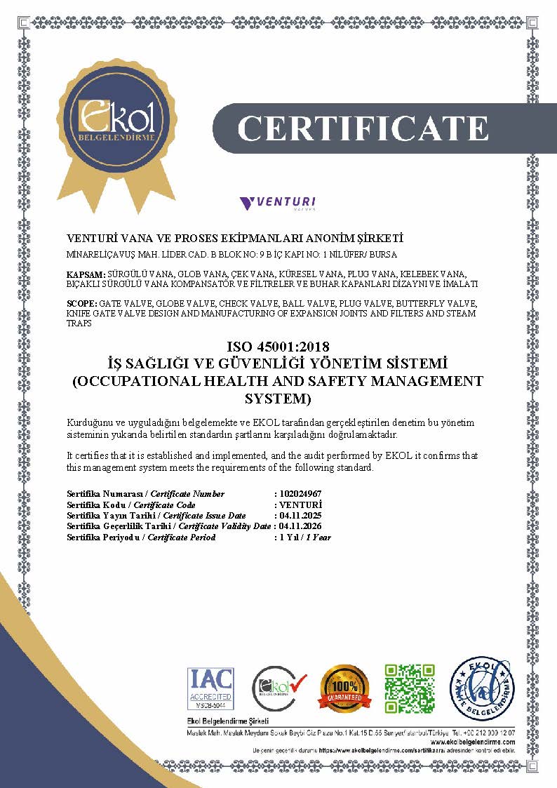 ISO 45001:2018 — Occupational health and safety management